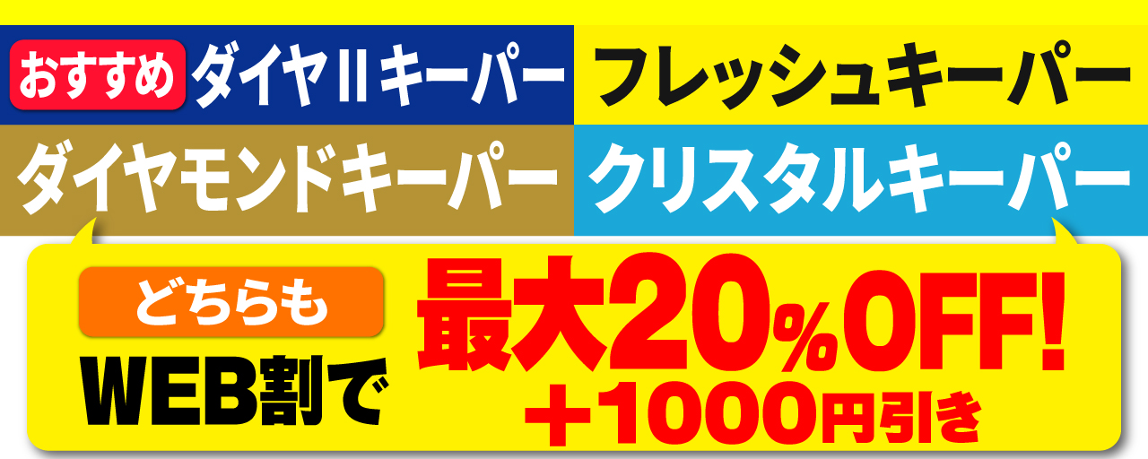 エコダイヤ・Wダイヤキーパー